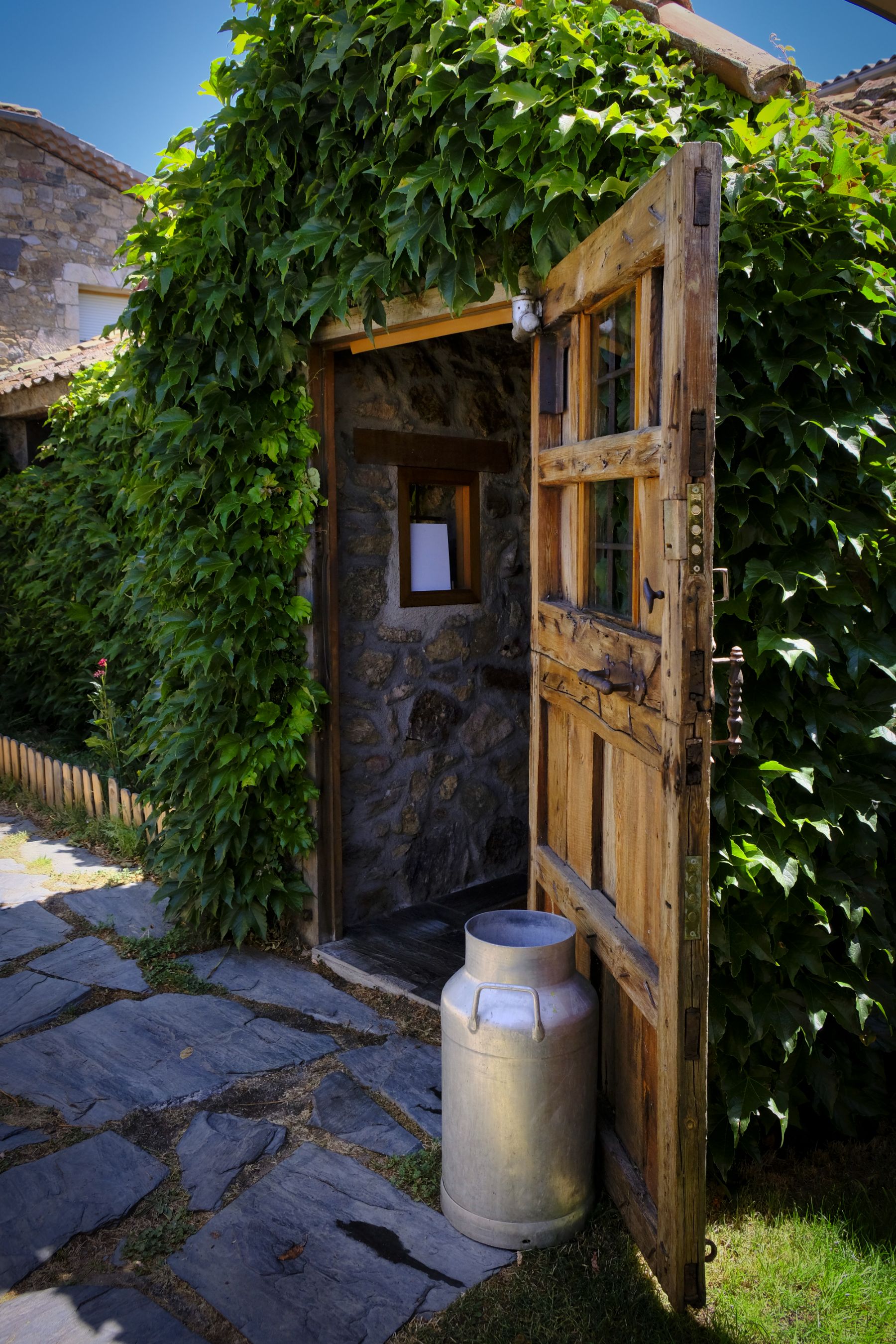 La entrada, con la hiedra